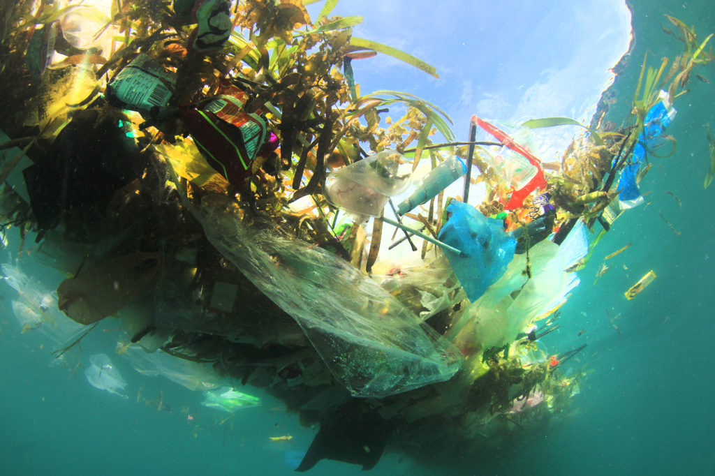 Marine Litter – Ocean Waste Recycling Ship